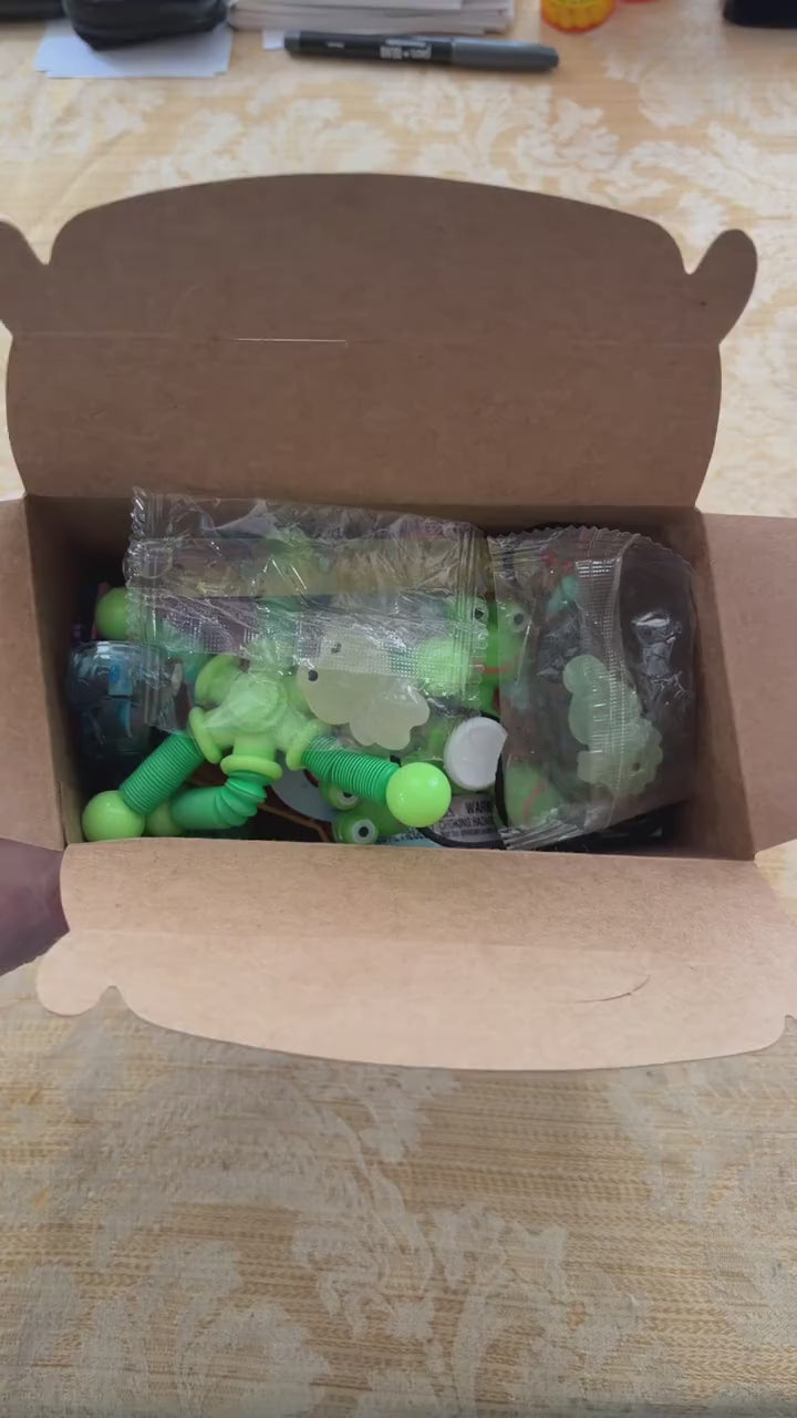 Autism Mystery Box